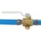 Apollo 1/2 in. Brass PEX Barb Ball Valve with Drain and Mounting Pad APXV12WD - alternate 6